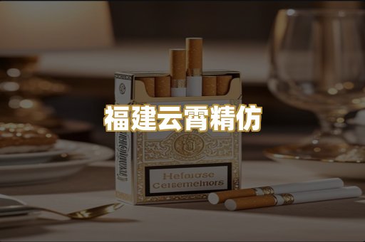 福建云霄精仿